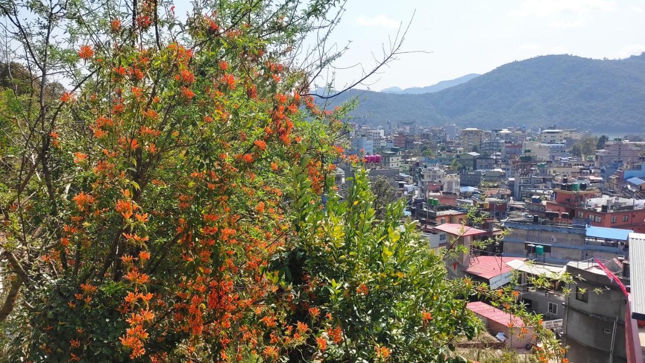 Peace Guesthouse Cottage Pokhara Exterior foto